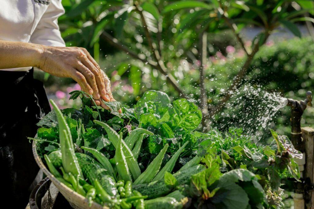 Bringing Back the Quiet Luxury of&nbsp;Hawaiʻi